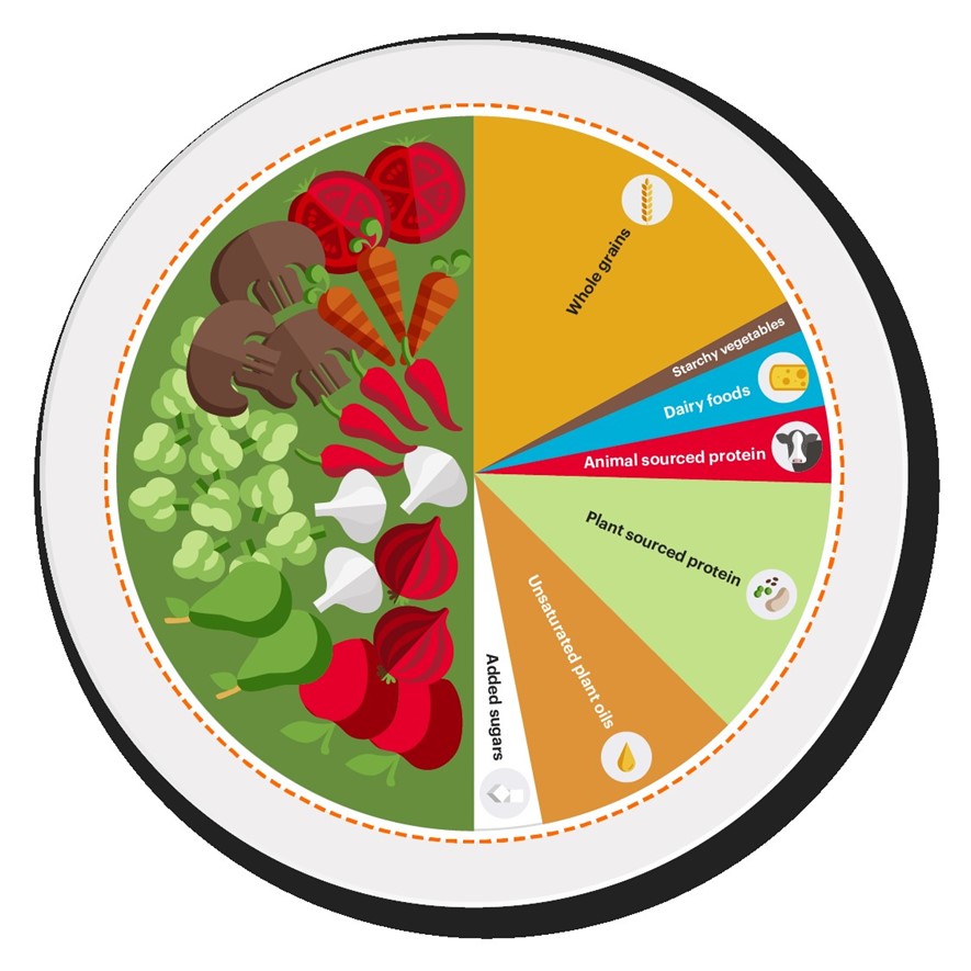 Pie chart of foods representing the planetary Health diet